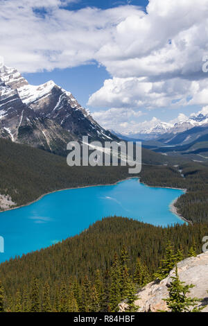 Le parc national Banff, Alberta, Canada. Le lac Peyto le long de la route panoramique de la promenade des Glaciers. Banque D'Images