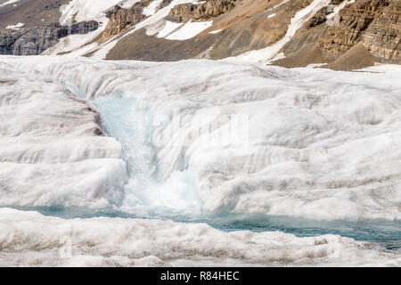 Promenade des glaciers dans le parc national Jasper, Alberta, Canada. Des cours d'eau glaciaire bleu glacial l'eau qui coule à travers la glace, sur le glacier Athabasca. Banque D'Images