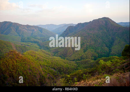 Jungle dense sur le Nandhour à distance, collines, vallée du Kumaon Uttarakhand, Inde Banque D'Images