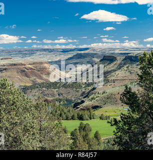 Les pâturages irrigués sur un paysage désertique de Deschutes River Canyon dans le centre de l'Oregon Banque D'Images