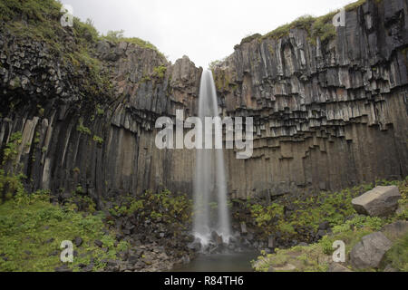 Cascade de Svartifoss et colonnes de basalte, de l'Islande Banque D'Images