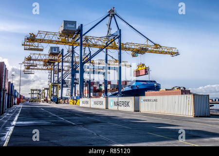 Grues dans un port du déchargement d'un tanker Banque D'Images