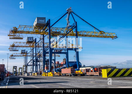 Grues dans un port du déchargement d'un tanker Banque D'Images