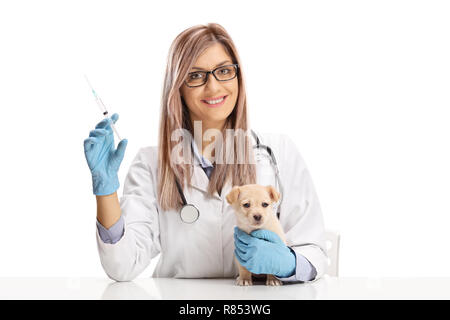 Jeune femme médecin vétérinaire holding injection pendant un petit chiot et regardant la caméra isolé sur fond blanc Banque D'Images
