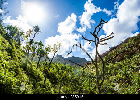 Jusqu'à l'une des vallées le long de la côte de Na Pali lors d'une randonnée le sentier Kalalau, Kauai, Hawaii, USA. Banque D'Images