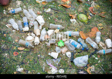 MIAMI - Septembre, 2018 : les bouteilles d'eau en plastique, des tasses, et des morceaux de styromousse flottent dans la baie de Biscayne, où la pollution des océans est un problème chronique. Banque D'Images