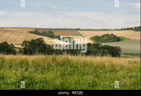 Paysage de la South Downs à Amberley près de Arundel dans le West Sussex, Angleterre Banque D'Images