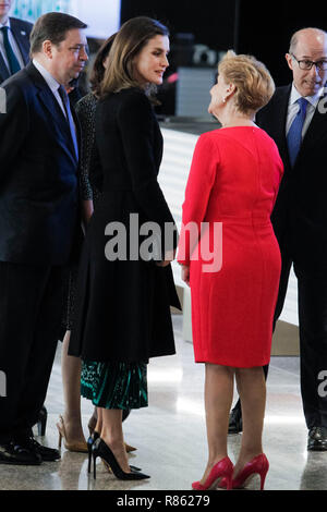 Madrid, Espagne. 13 Décembre, 2018. Reine Letizia d'Espagne participe à la II Congrès International pour les femmes rurales au cours d'AFAMMER Congrès International à l'hôtel Auditorium le 13 décembre 2018 à Madrid, Espagne. Credit : Jimmy Olsen/MediaPunch ***AUCUNE ESPAGNE*** Crédit : MediaPunch Inc/Alamy Live News Banque D'Images