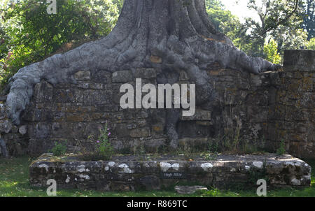 Les ruines de l'abbaye de Bayham datant du xiiie au xve siècle. Peu de Bayham, Tunbridge Wells, Kent, UK. Banque D'Images