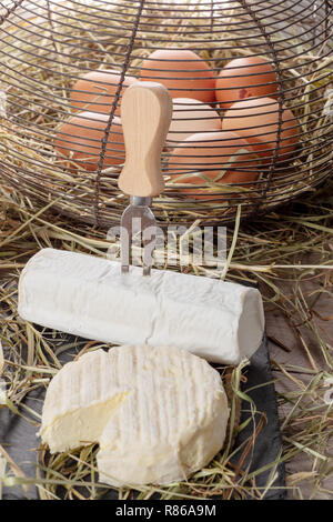 Un fromage français de Saint Marcellin avec oeufs sur la paille Banque D'Images