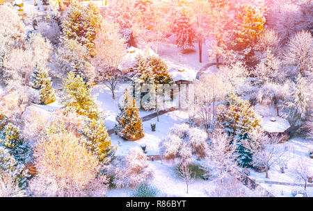 Vue aérienne d'un parc. Arbres et sentier sous la neige en un temps d'hiver Banque D'Images