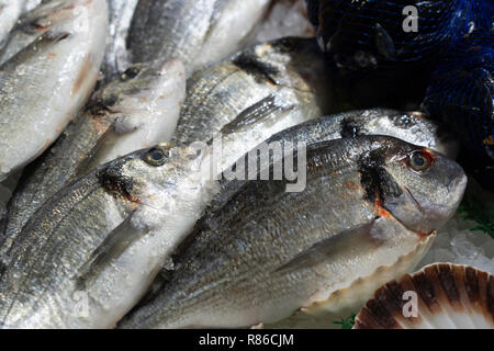 La brème de mer crus portant à plat sur un comptoir de poissonnerie à un marché couvert à Leeds, West Yorkshire, Angleterre, Royaume-Uni. Banque D'Images