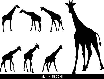 Les Girafes silhouettes collection - vector Illustration de Vecteur