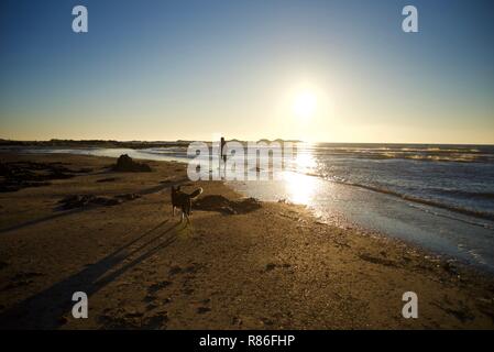 Un homme et son chien marcher sur la plage au coucher du soleil en conseil informatique, Anglesey, Pays de Galles, Royaume-Uni Banque D'Images