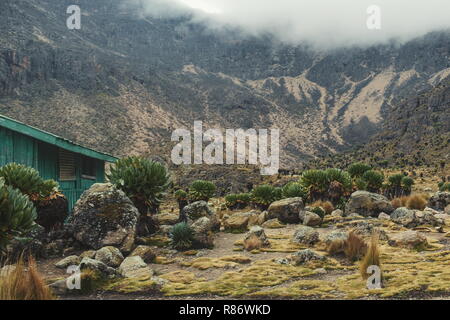 Une cabine sur un fond de brouillard, le Mont Kenya Banque D'Images