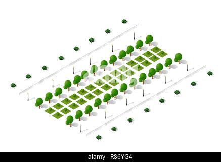 Ensemble d'isométrique écologiques naturelles des arbres et des plantes Illustration de Vecteur