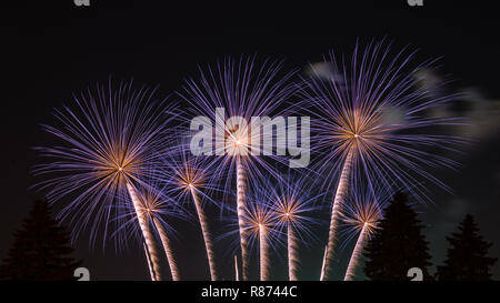 D'artifice dans la Rond Park Montréal Canada Banque D'Images