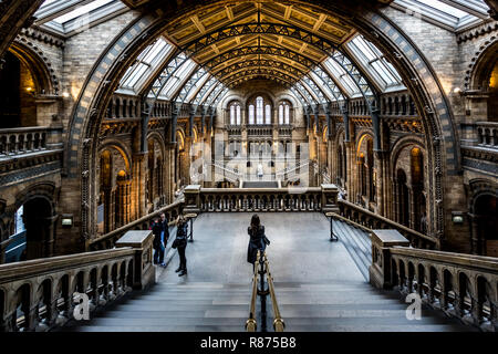 Musée d'Histoire Naturelle de Londres Banque D'Images