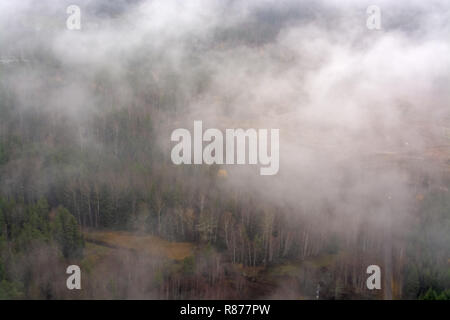 Photo aérienne au-dessus du brouillard mais paysage suédois vert près de Stockholm sur un matin de novembre à Stockholm, en Suède. Banque D'Images