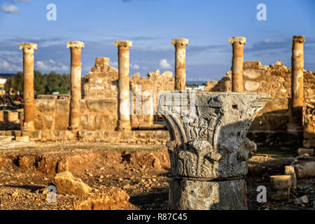 La maison de Thésée, villa romaine ruines à Kato Paphos, Parc archéologique de Paphos, Chypre Banque D'Images