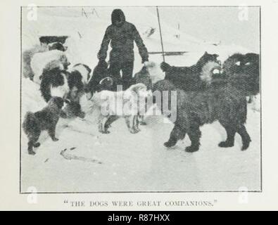 Cape-Adare Carsten-Borchgrevink Camp-Ridley-1899-DE-CHIENS. Banque D'Images