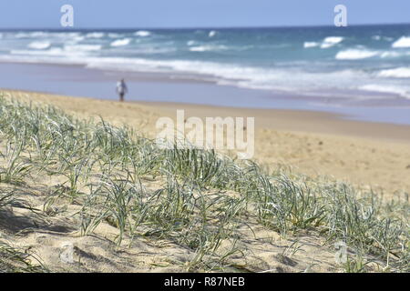 Belle MOOLOOABA BEACH QUEENSLAND AUSTRALIE Banque D'Images