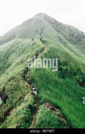 Mont Batulao aux Philippines Banque D'Images