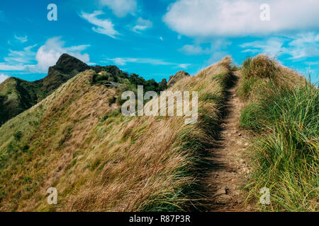 Un sentier de randonnée du mont Batulao dans la province de Batangas, Philippines Banque D'Images