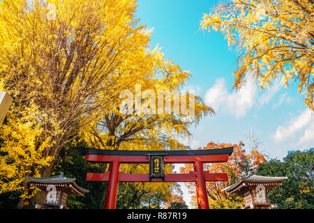 Au sanctuaire Nezu automne à Tokyo, Japon Banque D'Images