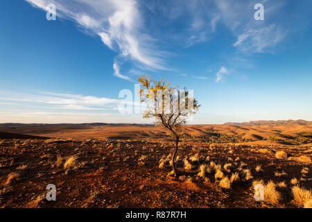 Paysage sauvage et rugueux dans les Flinders Ranges. Banque D'Images