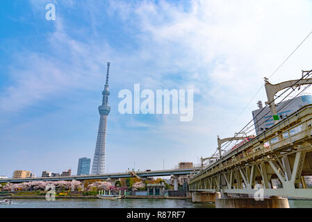 La Tokyo Skytree, plus haute tour du Japon Banque D'Images