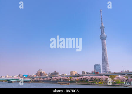 La Tokyo Skytree, plus haute tour du Japon Banque D'Images