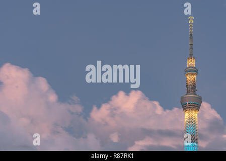 La Tokyo Skytree, plus haute tour du Japon Banque D'Images