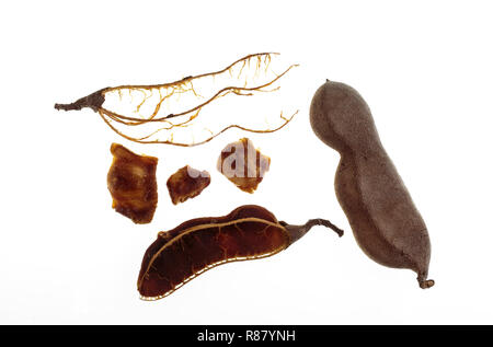 Voir l'ensemble des fruits de tamarin et la pulpe, graines et fibres d'un tamarin cassée (Tamarindus indica) pod-comme les fruits Banque D'Images