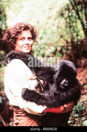 Sigourney Weaver, gorilles dans la brume, 1988 Banque D'Images