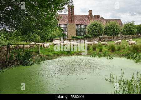 Abcott Manor, Clungunford, Shropshire, au Royaume-Uni. Un xvie siècle typique à pans de bois de manoir anglais, à la campagne Banque D'Images