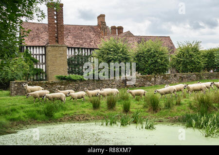 Abcott Manor, Clungunford, Shropshire, au Royaume-Uni. Un xvie siècle typique à pans de bois de manoir anglais, à la campagne Banque D'Images