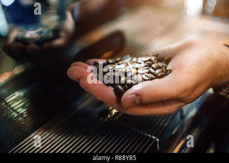 Photo de man's hand holding de café torréfié dans la main. Il le fait à la machine à café Banque D'Images