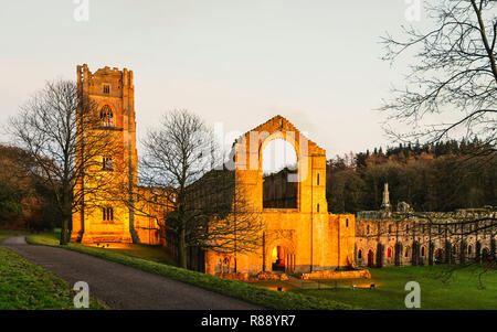 Les ruines de l'abbaye de Fountains sur une belle soirée d'automne et illuminé avec ses feux près de Ripon, Yorkshire, UK. Banque D'Images