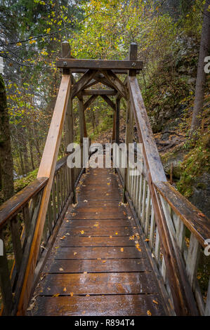 Forêt d'automne avec vue sur le pont de bois sur Myrafälle, Autriche Banque D'Images