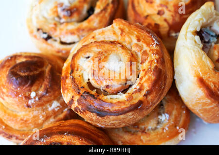 Roule avec du fromage cottage et des raisins secs, des gâteaux pains ronds Banque D'Images