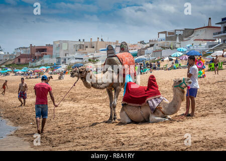 Deux hommes reste avec leurs chameaux sur la plage de Bouznika, Casablanca-Settat, Benslimane, Maroc Banque D'Images