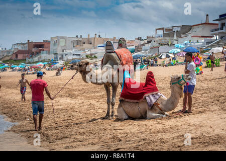 Deux hommes reste avec leurs chameaux sur la plage de Bouznika, Casablanca-Settat, Benslimane, Maroc Banque D'Images