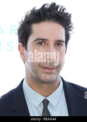 BEVERLY HILLS, LOS ANGELES, CA, États-Unis - OCTOBRE 07 : L'acteur et réalisateur américain David Schwimmer au brunch annuel 2018 de la Fondation R8pe au profit du R8pe Treatment Center et de la Stuart House au Santa Monica-UCLA Medical Center qui s'est tenu au Ron Burkle's Green acres Estate le 7 octobre 2018 à Beverly Hills, Los Angeles, Californie, États-Unis. (Photo de Xavier Collin/image Press Agency) Banque D'Images