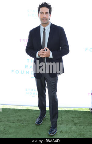 BEVERLY HILLS, LOS ANGELES, CA, États-Unis - OCTOBRE 07 : L'acteur et réalisateur américain David Schwimmer au brunch annuel 2018 de la Fondation R8pe au profit du R8pe Treatment Center et de la Stuart House au Santa Monica-UCLA Medical Center qui s'est tenu au Ron Burkle's Green acres Estate le 7 octobre 2018 à Beverly Hills, Los Angeles, Californie, États-Unis. (Photo de Xavier Collin/image Press Agency) Banque D'Images