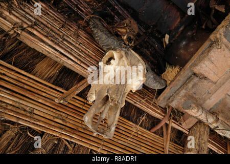 Un crâne d'un Carabao, également connu sous le nom de buffle d'Asie de la décoration d'une maison traditionnelle des autochtones de la communauté Ifugao au village de Banga-An le peuple, situé à la Cordillères des terrasses de riz dans l'île de Luzon, Philippines Banque D'Images