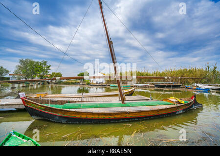 Parc naturel de l'Albufera de Valence. Valence. Communauté de Valence. L'Espagne. Banque D'Images