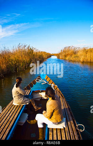 Parc naturel de l'Albufera de Valence. Valence. Communauté de Valence. L'Espagne. Banque D'Images