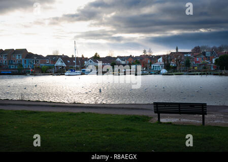 Le parc Riverside à Southampton, banc et de l'herbe au premier plan, au milieu de la rivière avec quelques boaths seaguls, et certains et maisons en arrière-plan. Banque D'Images