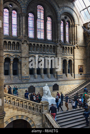 Sculpture de Charles Darwin par Sir Joseph Boehm, Hintze Hall, le Musée d'Histoire Naturelle, South Kensington, London, Royaume-Uni Banque D'Images